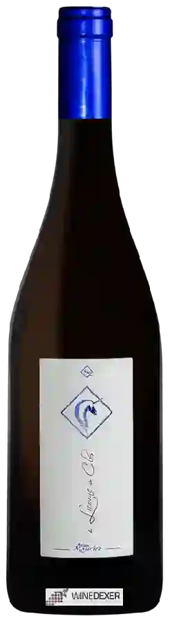 Clos Maurice - La Licorne du Clos Clos Maurice - La Licorne du Clos