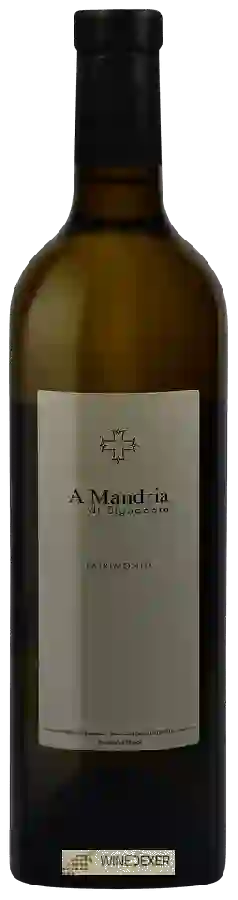 Clos Signadore - A Mandria di Signadore Patrimonio Blanc Clos Signadore - A Mandria di Signadore Patrimonio Blanc