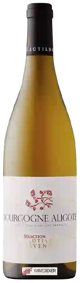 Domaine Les Temps Perdus - Clotilde Davenne - Bourgogne Aligoté Domaine Les Temps Perdus - Clotilde Davenne - Bourgogne Aligoté