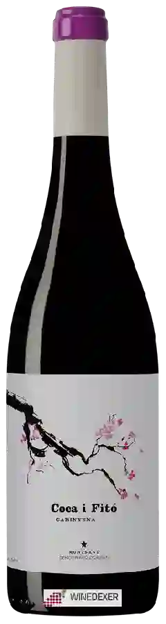 Winery Coca i Fitó - Carinyena