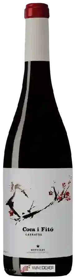 Winery Coca i Fitó - Garnatxa