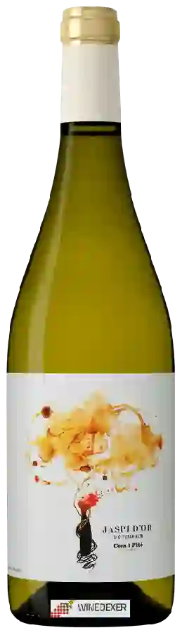 Winery Coca i Fitó - Jaspi d'Or Winery Coca i Fitó - Jaspi d'Or