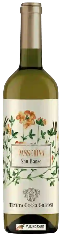 Winery Cocci Grifoni - San Basso Passerina Winery Cocci Grifoni - San Basso Passerina