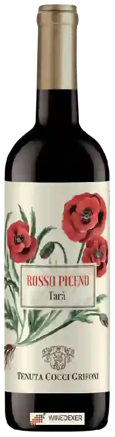 Winery Cocci Grifoni - Rosso Piceno Tarà Winery Cocci Grifoni - Rosso Piceno Tarà