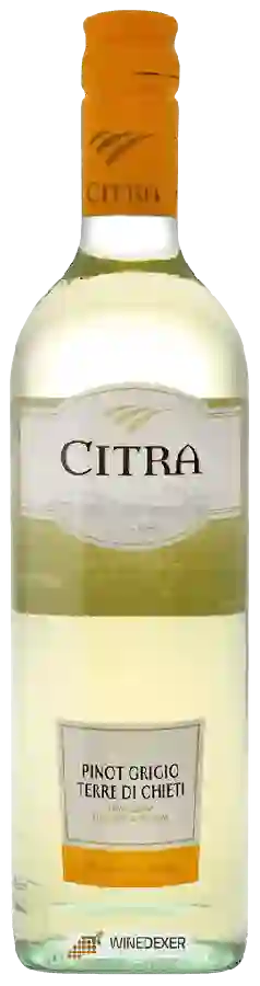 Winery Citra - Chardonnay Terre di Chieti Winery Citra - Chardonnay Terre di Chieti