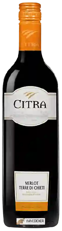 Winery Citra - Merlot Terre di Chieti Winery Citra - Merlot Terre di Chieti