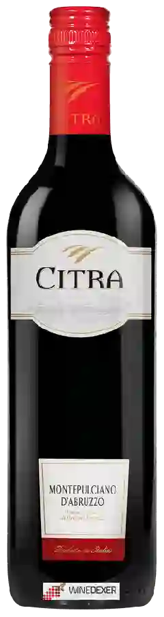 Winery Citra - Montepulciano d'Abruzzo
