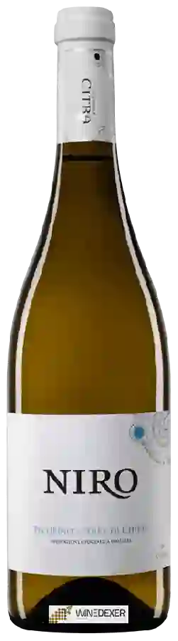 Winery Citra - Niro Pecorino Terre di Chieti