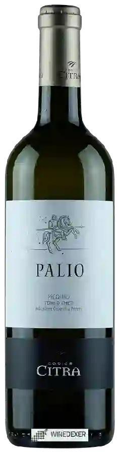 Winery Citra - Palio Pecorino Terre di Chieti