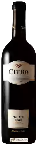 Winery Citra - Pinot Noir Puglia
