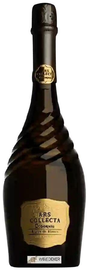 Winery Codorníu - Ars Collecta Gran Reserva Blanc de Blancs Winery Codorníu - Ars Collecta Gran Reserva Blanc de Blancs