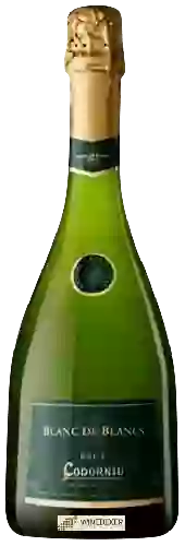 Winery Codorníu - Cava Brut Blanc de Blancs