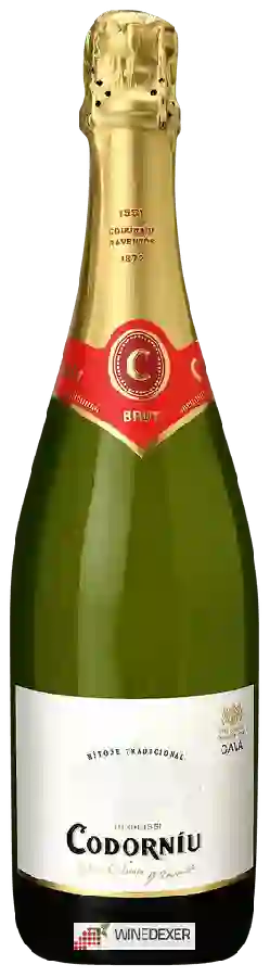 Winery Codorníu - Cava Brut Vintage
