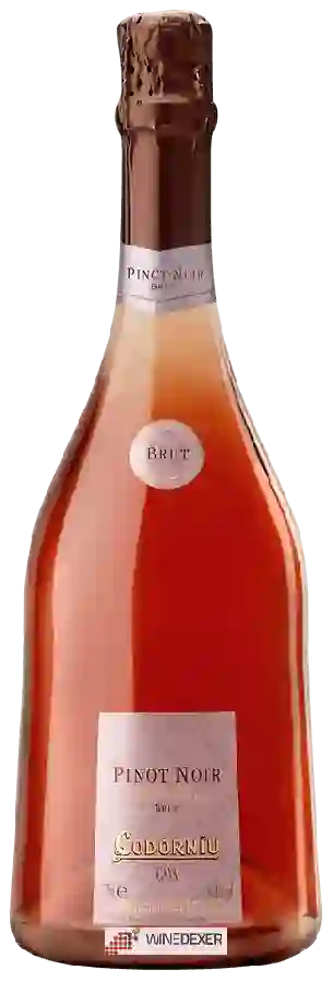 Winery Codorníu - Cava Pinot Noir Brut