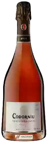 Winery Codorníu - Cava Selección Raventós Rosé