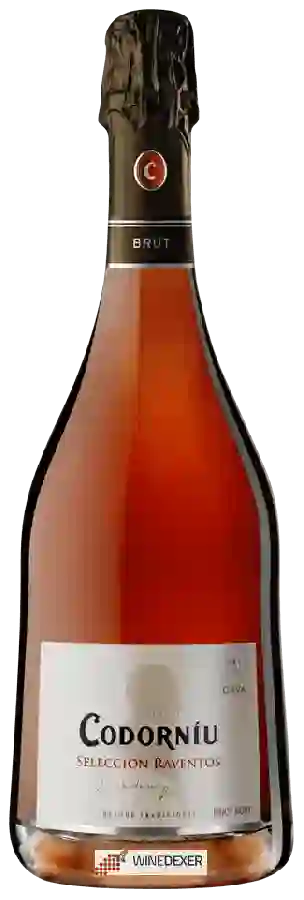 Winery Codorníu - Cava Selección Raventós Rosé