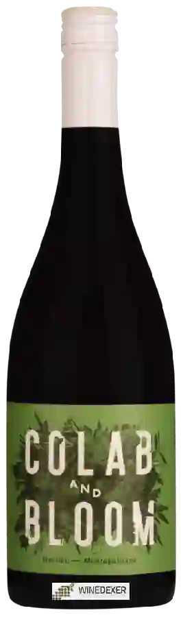 Winery Colab and Bloom - Montepulciano