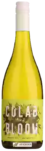 Winery Colab and Bloom - Sauvignon Blanc