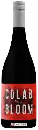 Winery Colab and Bloom - Shiraz