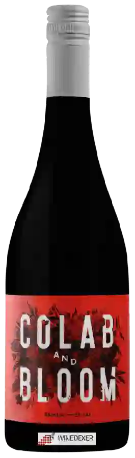 Winery Colab and Bloom - Shiraz