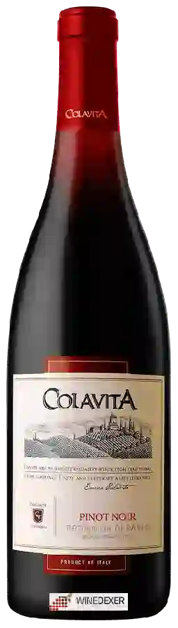 Winery Colavita - Provincia di Pavia Pinot Noir