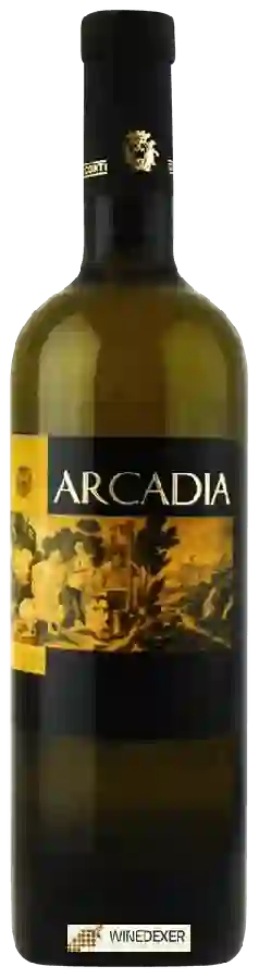 Winery Coletti Conti - Arcadia Bianco