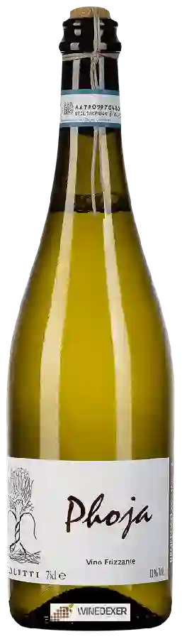 Winery Coletti - Phoja Winery Coletti - Phoja