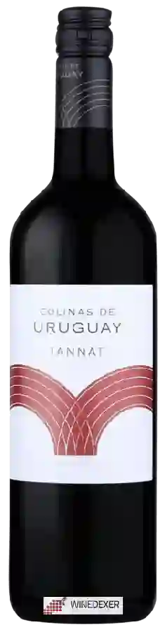 Winery Colinas de Uruguay - Tannat Winery Colinas de Uruguay - Tannat