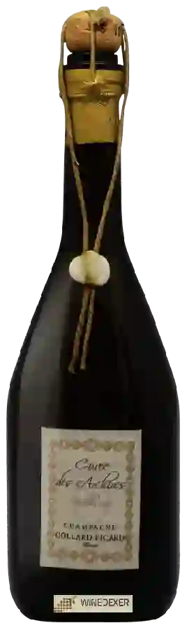 Winery Collard Picard - Cuvée des Archives Millesime Brut Champagne