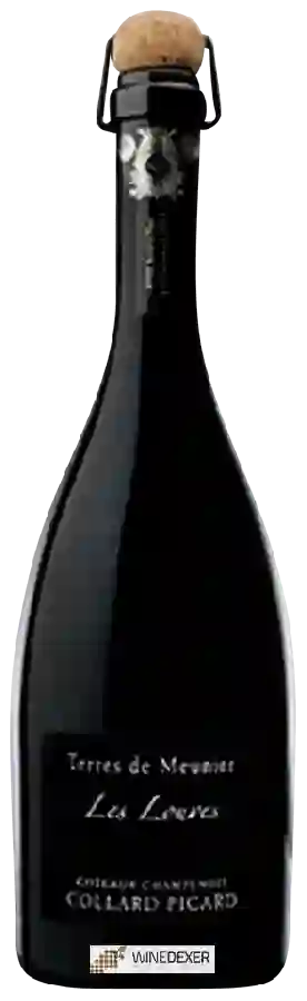 Winery Collard Picard - Les Louves Terre de Meunier
