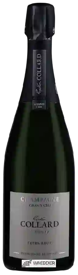 Winery Collard - Extra Brut Champagne Grand Cru 'Bouzy'