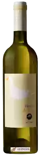 Winery Colle di Bordocheo - Bianco dell'Oca