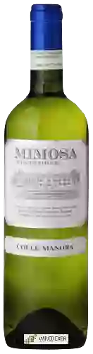 Winery Colle Manora - Mimosa