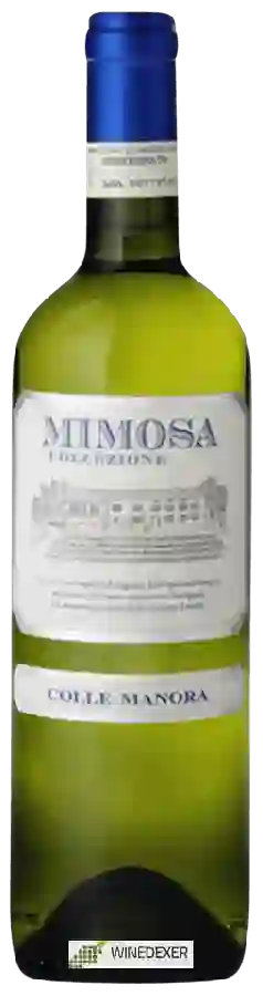 Winery Colle Manora - Mimosa