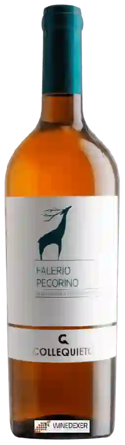 Winery Colle Quieto - Falerio Pecorino Winery Colle Quieto - Falerio Pecorino