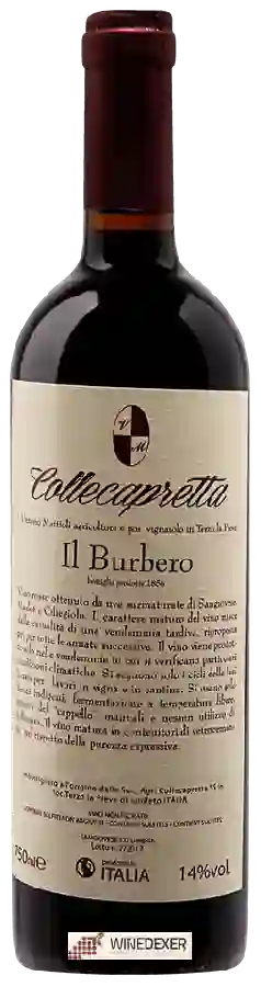 Winery Collecapretta - Il Burbero Winery Collecapretta - Il Burbero