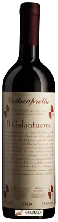 Winery Collecapretta - Il Galantuomo Winery Collecapretta - Il Galantuomo