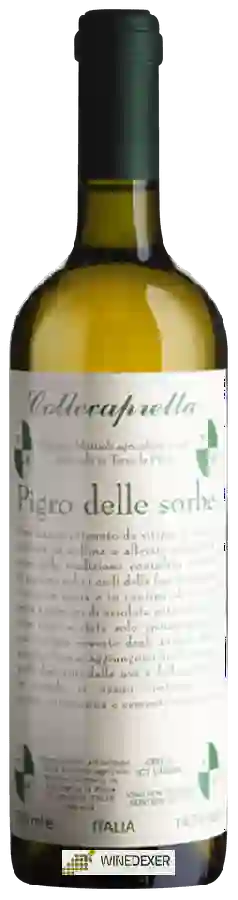 Winery Collecapretta - Pigro delle Sorbe Winery Collecapretta - Pigro delle Sorbe
