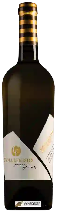 Winery Collefrisio - Pecorino Terre di Chieti