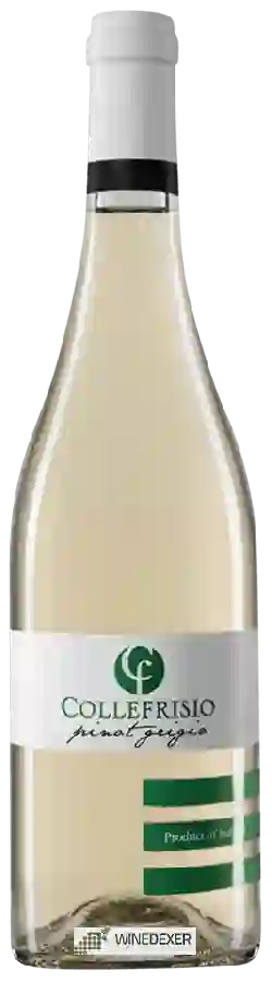 Winery Collefrisio - Pinot Grigio Winery Collefrisio - Pinot Grigio