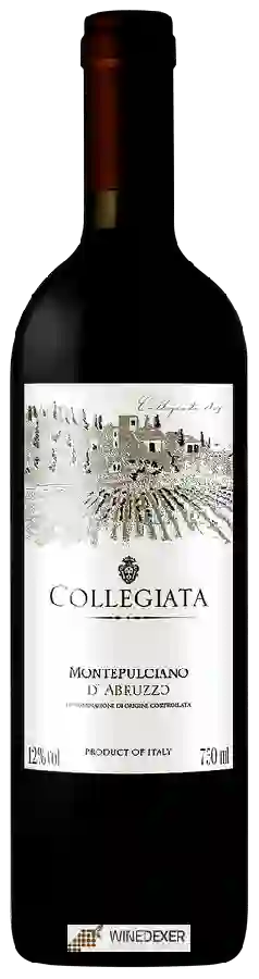 Winery Collegiata - Montepulciano d'Abruzzo Winery Collegiata - Montepulciano d'Abruzzo