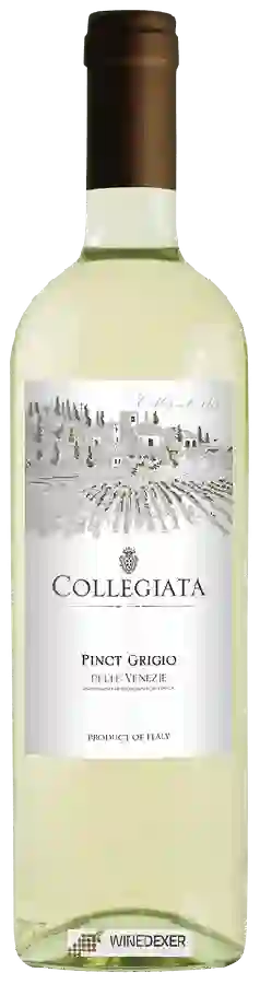 Winery Collegiata - Pinot Grigio