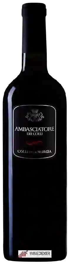Winery Colli Della Murgia - Ambasciatore dei Colli Winery Colli Della Murgia - Ambasciatore dei Colli