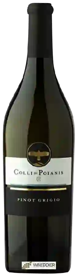 Winery Colli di Poianis - Pinot Grigio