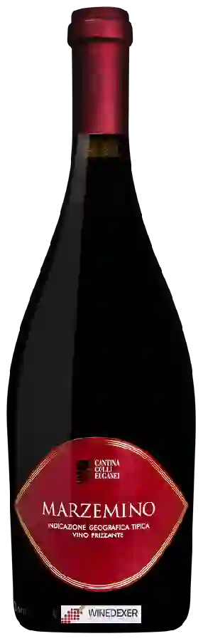 Winery Colli Euganei - Marzemino