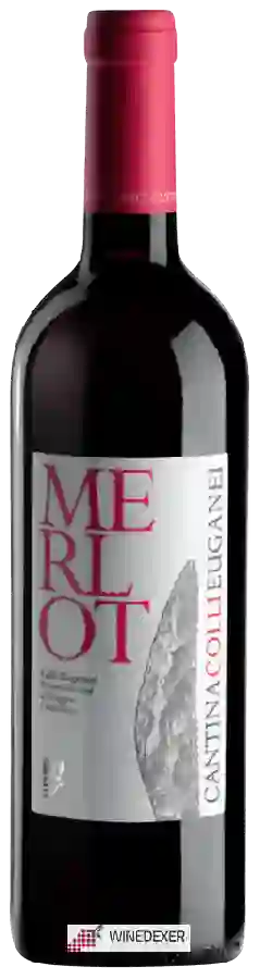 Winery Colli Euganei - Merlot