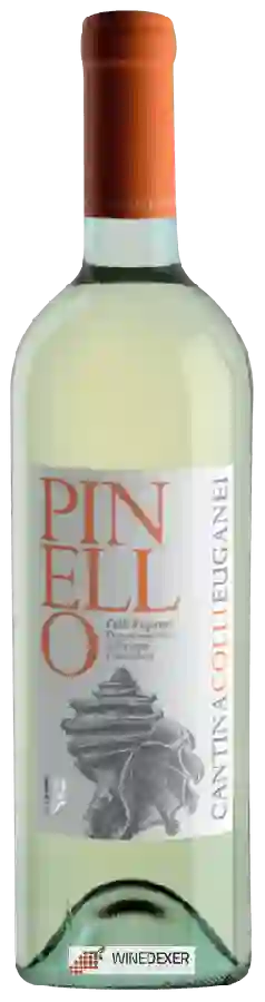 Winery Colli Euganei - Pinello