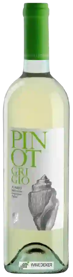 Winery Colli Euganei - Pinot Grigio