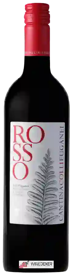 Winery Colli Euganei - Rosso