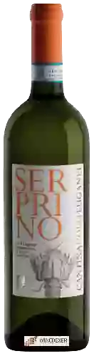 Winery Colli Euganei - Serprino
